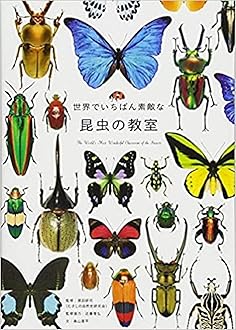 Amazon.co.jp: 三才ブックスの書籍: 世界でいちばん素敵な教室